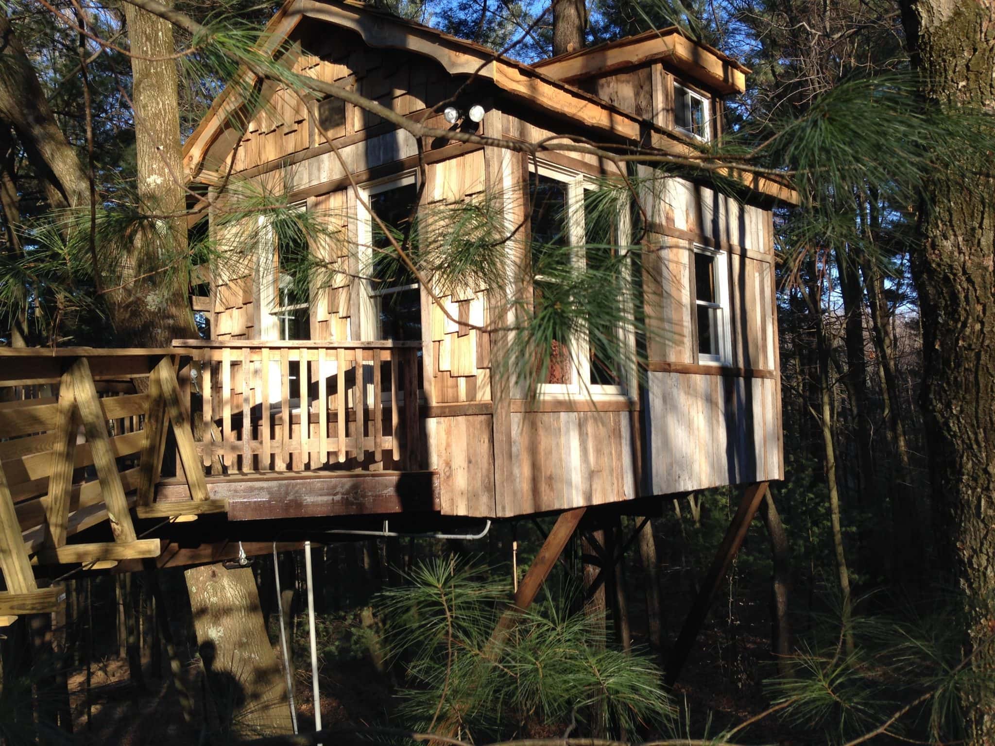 Old Pine Treehouse