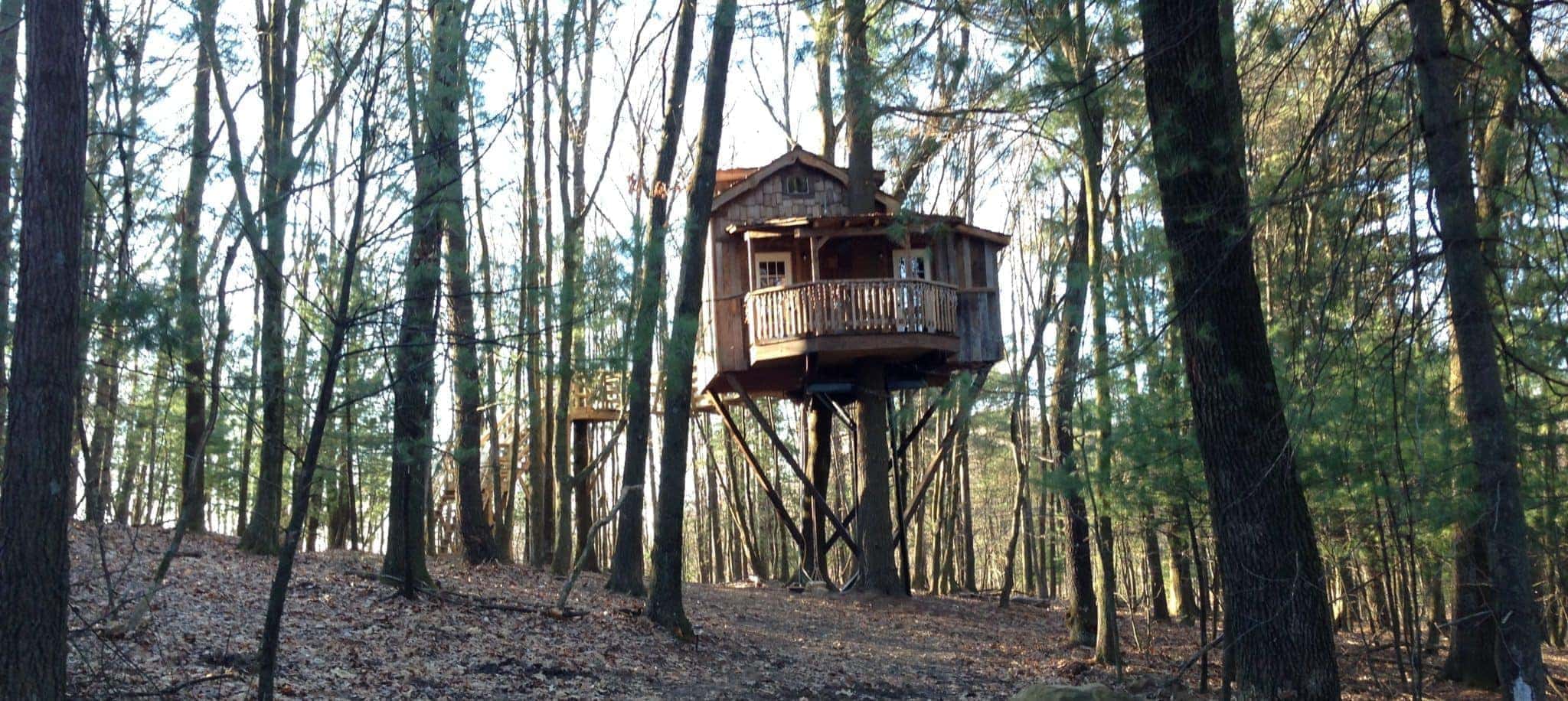 Old Pine Treehouse