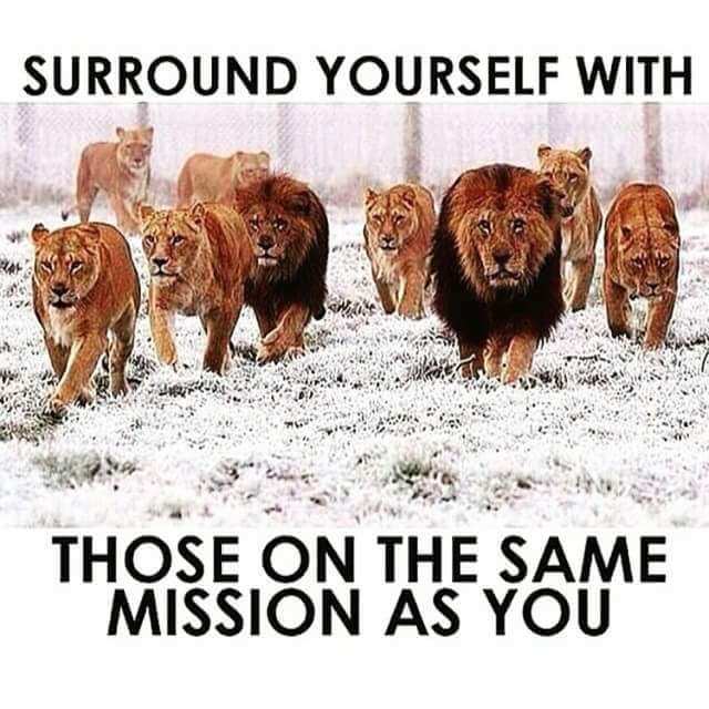 surround yourself on the same mission as you