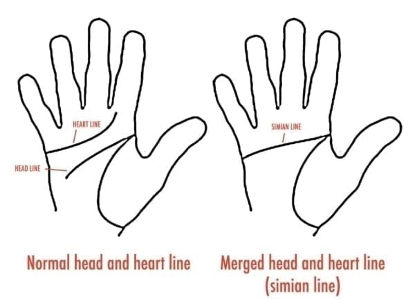 Simian Line Diagram