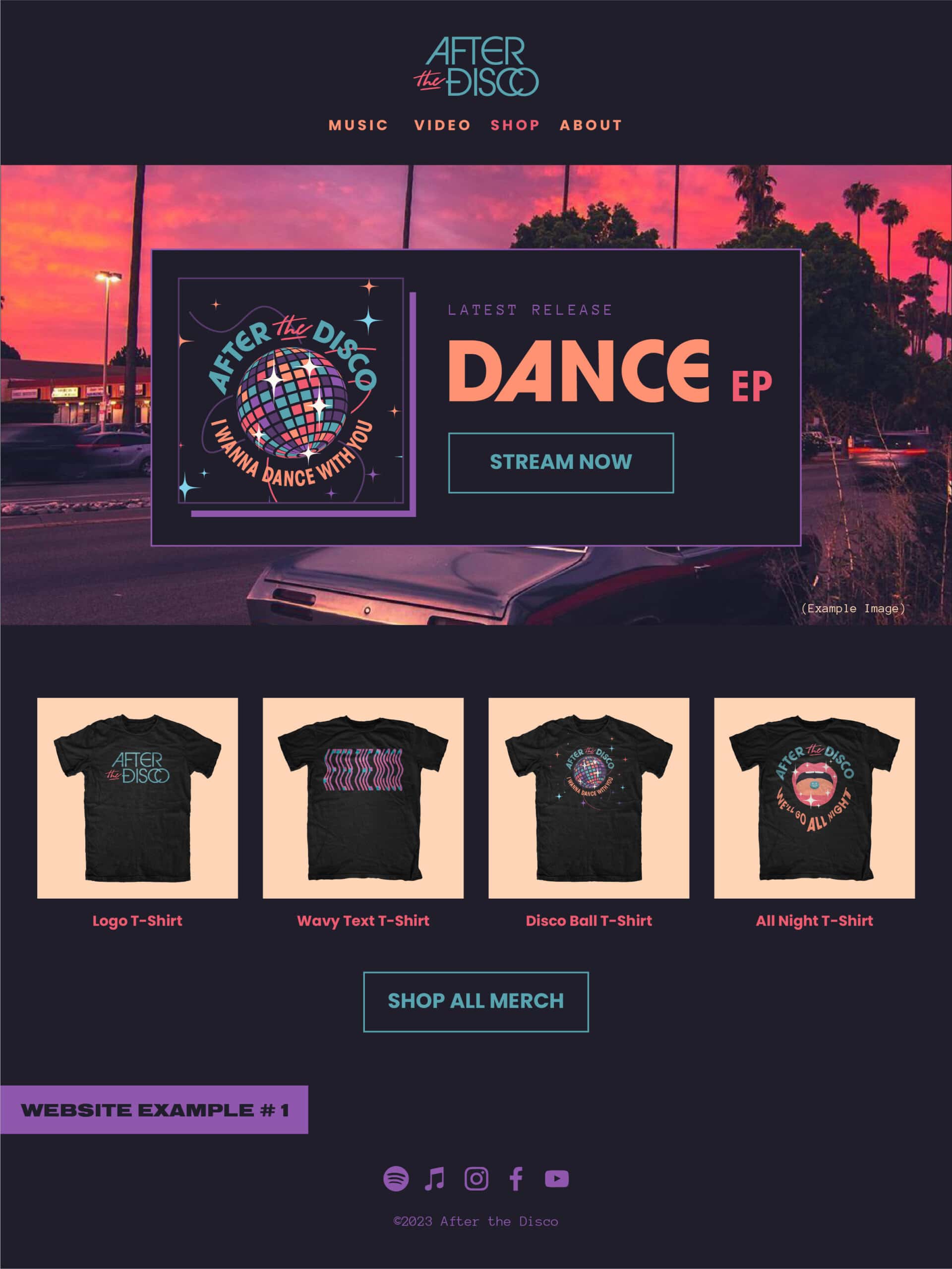 After the Disco website layout